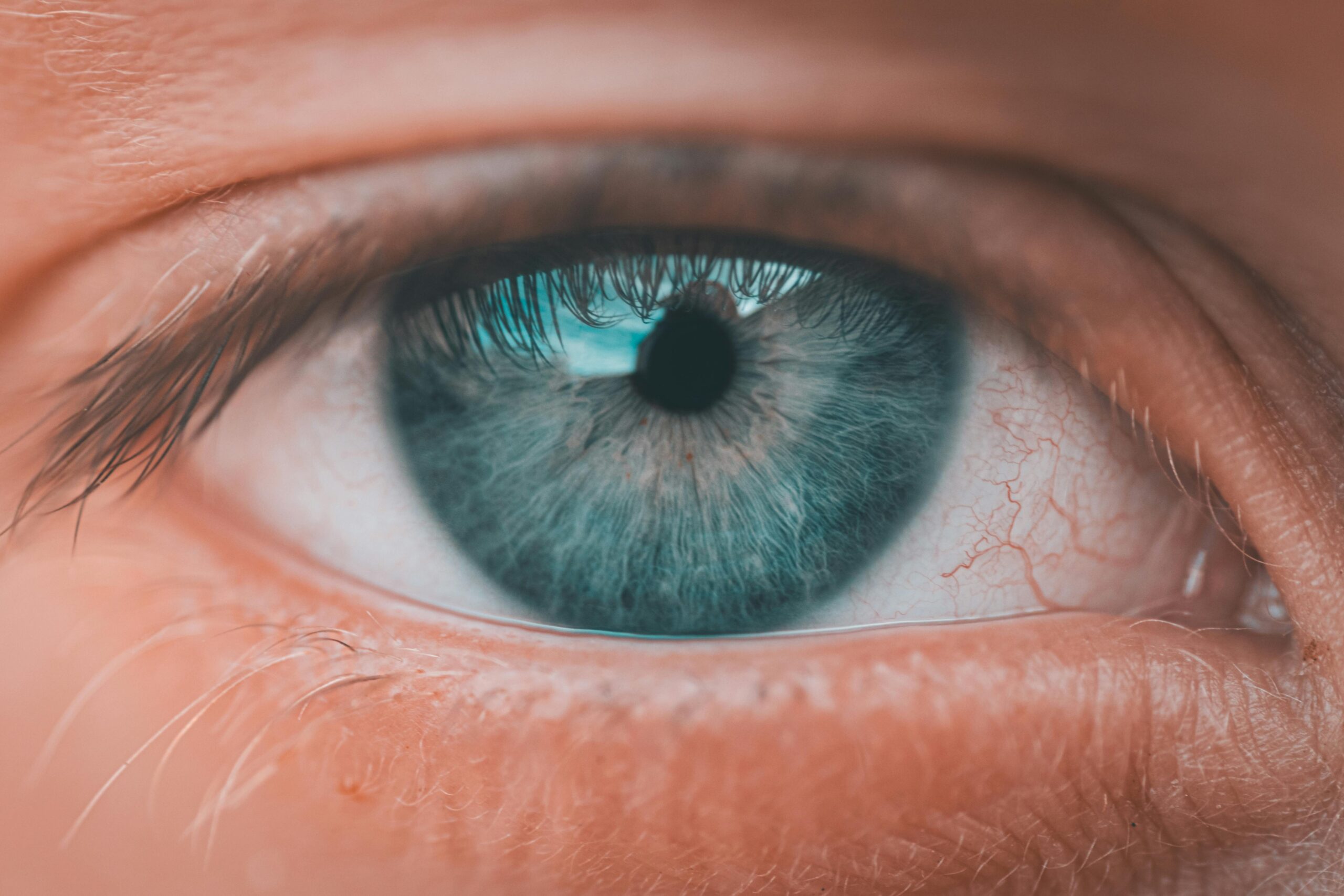 Detailed close-up of a blue human eye, showcasing intricate iris patterns and natural eyelashes.